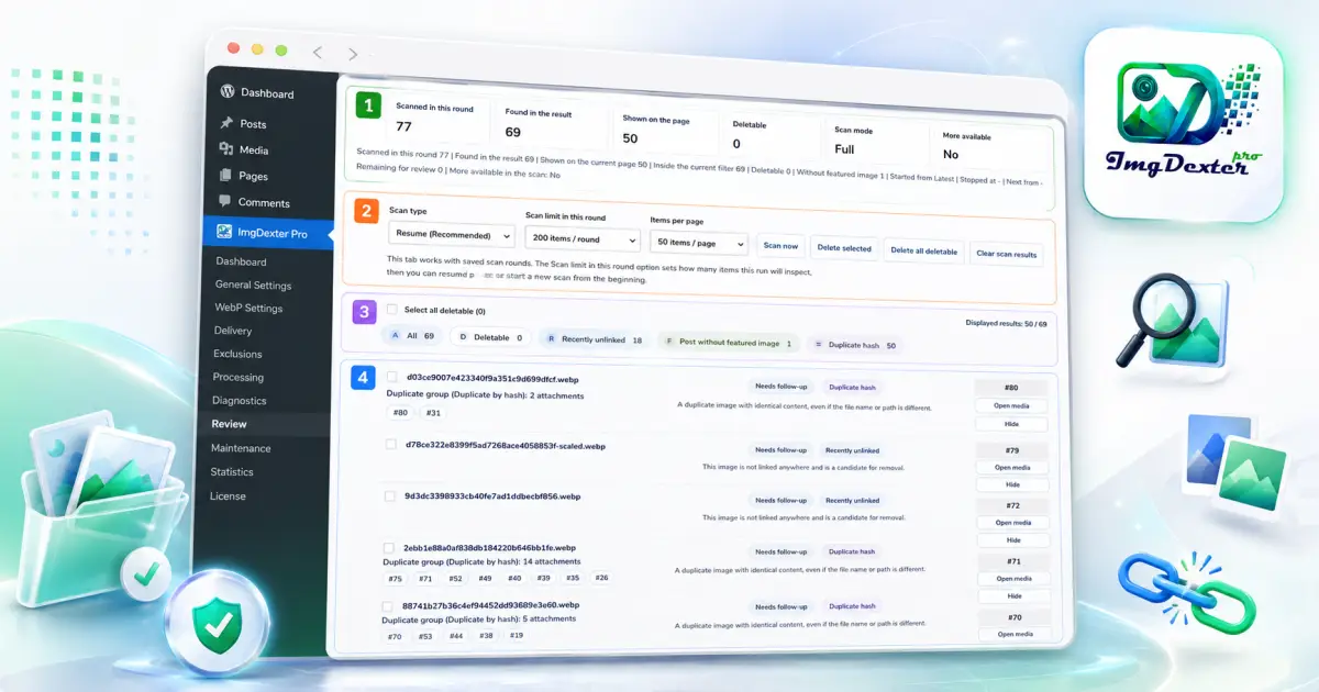 Overview of the ImgDexter Pro Review interface, including the scan summary, scan management controls, category tabs, and detailed review results.